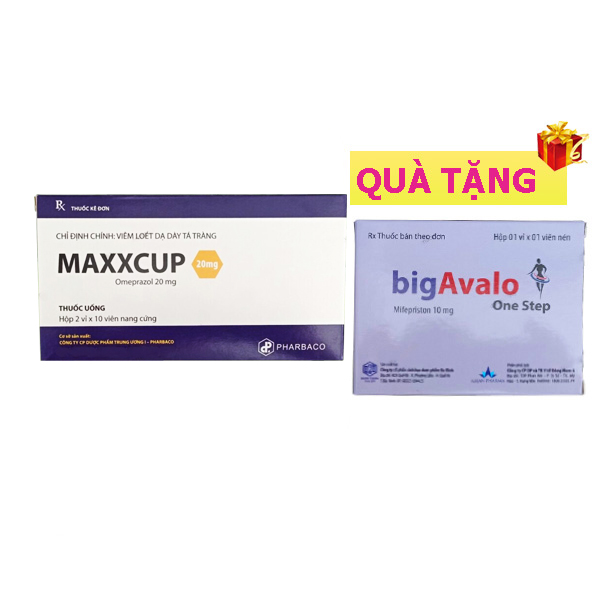 maxxcup + biga