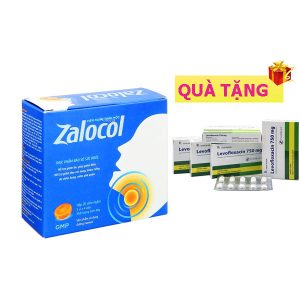 <b>Zalocol</b> mua<b><span style="color: red"> 29 hộp</span> + Tặng 1 hộp Levofloxacin</b> 750mg