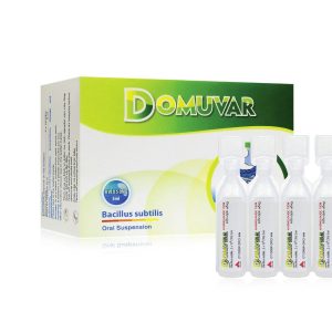 <b>Domuvar</b> Bào tử lợi khuẩn (H40) CPC1 | <b><span style="color: BlueViolet">Có thể xuất HĐ</span></b>