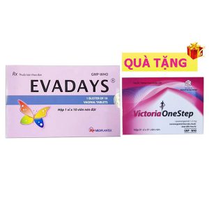 <b>Evadays</b> mua <b><span style="color: red">10 hộp</span> + Tặng 24 hộp Victoria</b> / Ekydo / bigAvalo